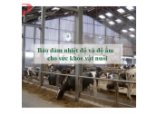 Lắp đặt hệ thống quạt thông gió cho trang trại
