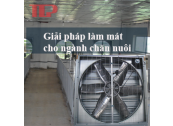 Giải pháp làm mát cho ngành chăn nuôi